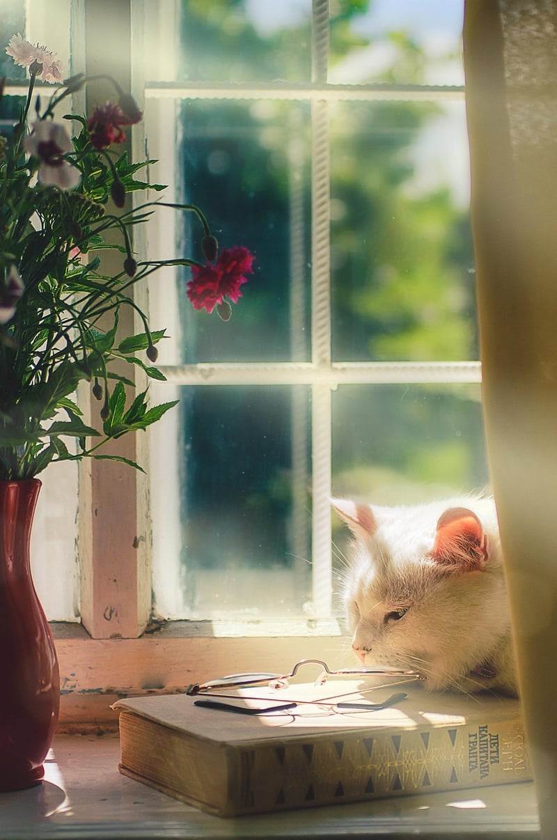 Mystical Bliss